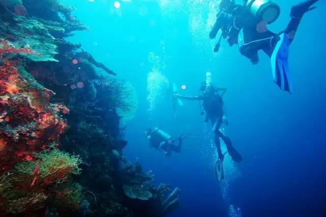繁花中的实力派,轩逸37万辆销量第四次蝉联燃油车销冠